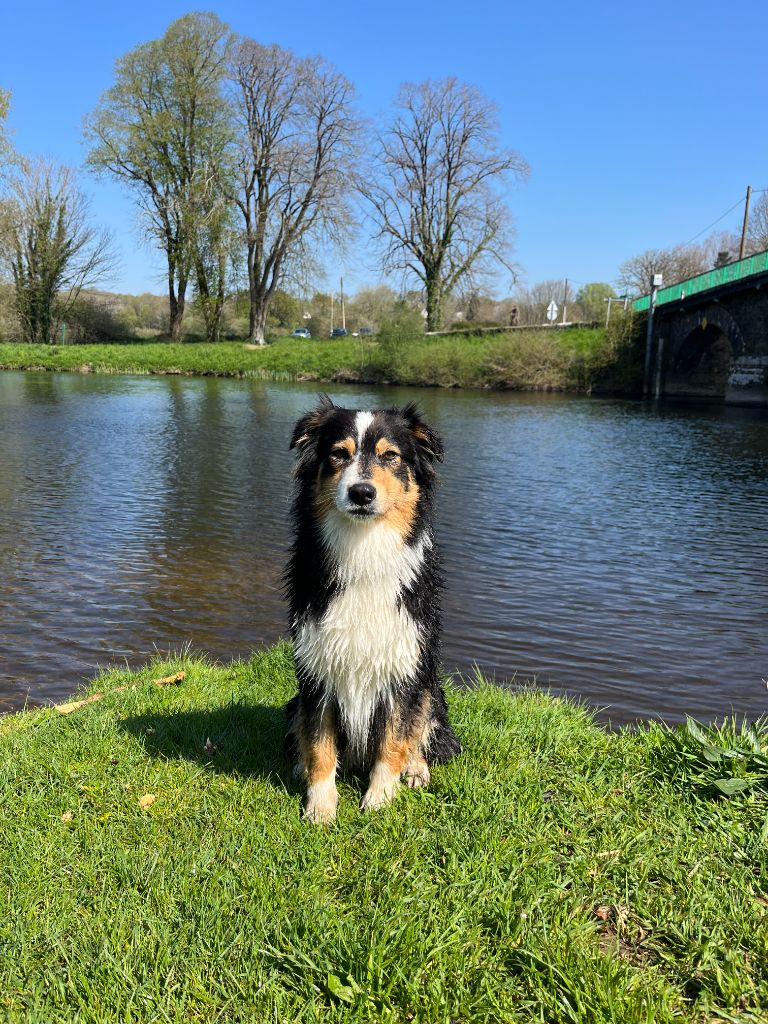 un peu de beau temps